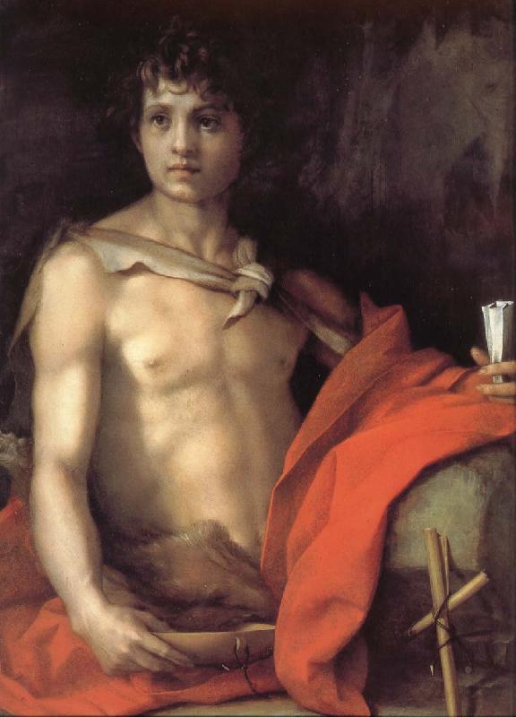 Andrea del Sarto Portrait of younger Joh oil painting image